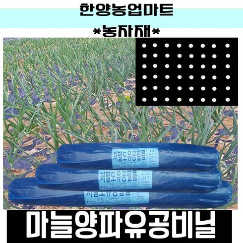 농자재-양파마늘유공비닐/양파비닐/마늘비닐/농업용유공멀칭비닐/텃밭/흑색/비니루, 0.015X120X200흑10구(마늘용외), 1개