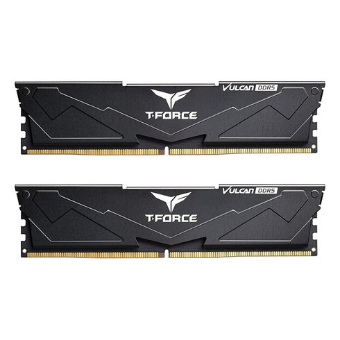팀그룹 TEAMGROUP T-Force Vulcan DDR5 32GB (16GB 2개) 5600MHz (PC5-44800) CL32 데스크탑 메모리 모듈 램 (블랙) 600 700, 5200 MHz CL 40-40-40-76_black