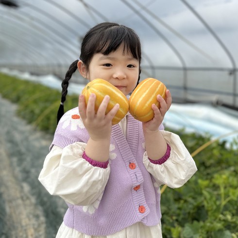 [산지직송]성주참외 고당도 신선한 벌 꿀 GAP인증 가정용/정품 혼합 특품 선물 1.2kg/2/3/5kg, 1박스, 프리미엄 정품 대/3kg