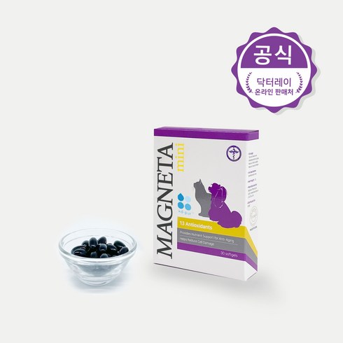 마그네타 TOP01