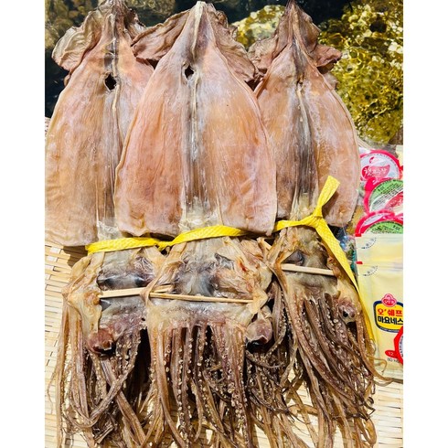 [물회 먹방아저씨] 포항 구룡포 마른 오징어 1.2kg(20미), 1개