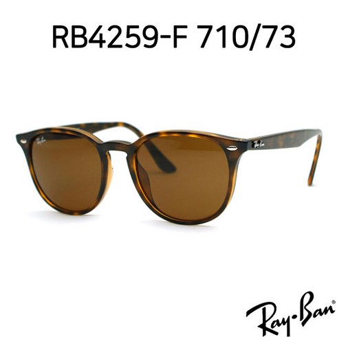 RAY BAN 레이벤 선글라스 RB4259F 6166-13 (53)