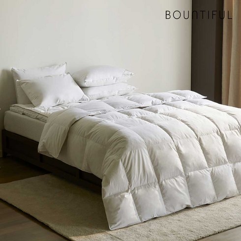 면세점골든구스 TOP01