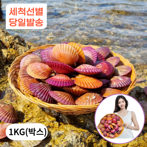 1급청정해수 통영 가리비 홍가리비 산지직송, 1박스, 1kg (특품)