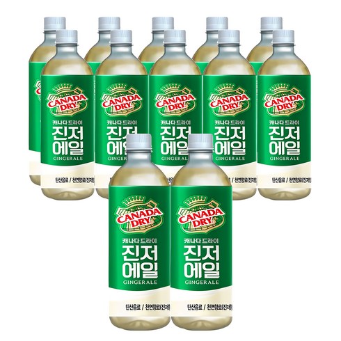 캐나다드라이 진저에일 450ML x12팻, 12개