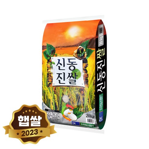 2023년 가성비 최고 신동진쌀20kg - 현대농산 신동진쌀 20kg 단일품종, 1포
