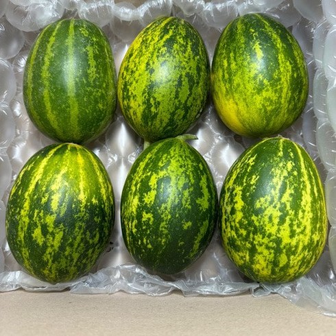 [최저가 최상급]고당도 국내산파파야 메론, 1박스, 2kg