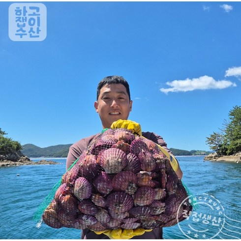 세척홍가리비 - 하고잽이수산 고압 세척 선별 제철 홍 비단 가리비, 가리비3kg, 1개