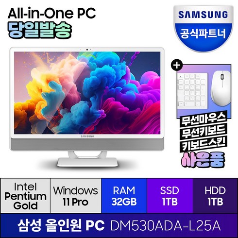 dm530ada-l25a - 삼성전자 올인원 일체형 PC 프로스트 화이트 DM530ADA-L25A (펜티엄골드 7505 60.5cm WIN11 Pro) 기업용 사무용 학습용, RAM 32B + SSD 1TB + HDD 1TB