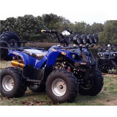 사륜 4륜 바이크 사발이 농업용 효도상품 125cc atv, 블루