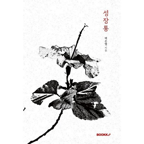 백은별 - 성장통 리커버 에디션, BOOKK(부크크), 백은별 저