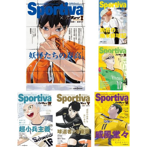 하이큐 쇼세츠반 Sportiva 콜라보오비 첨부 1-13권 세트 (JUMP jBOOKS)