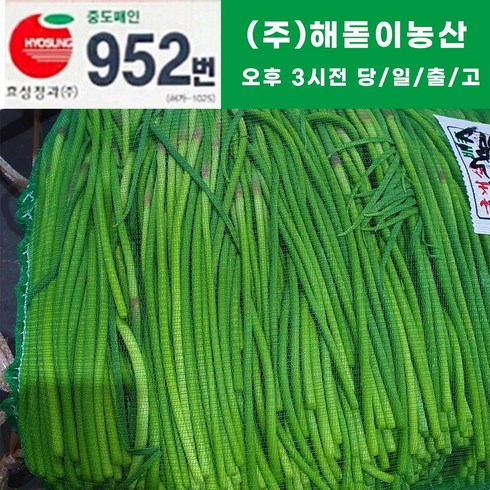 해돋이 농산 국내산 햇 마늘쫑(바라) 1kg 2kg 3kg 5kg 10kg, 1개