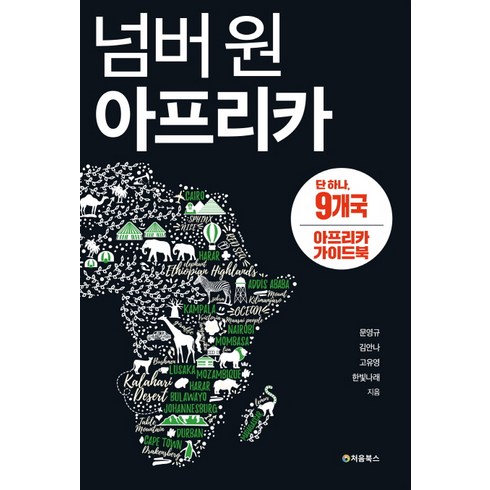 아프리카한번쯤내볼만한용기 - 넘버 원 아프리카:단 하나 9개국 아프리카 가이드북, 처음북스, 한빛나래