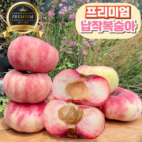 거반도납작복숭아 - [프리미엄] 거반도 납작복숭아 산지직송, 1개, 1kg (4-9과)