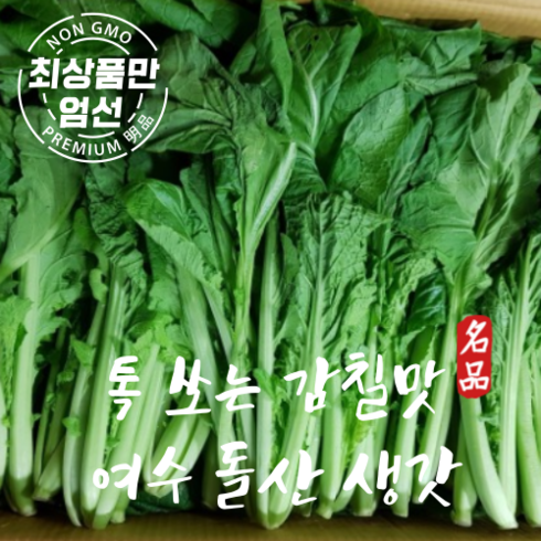 돌산갓 - 톡 쏘는 맛 여수 돌산갓 생갓 5kg 10kg, 1박스, 여수 돌산생갓 5kg