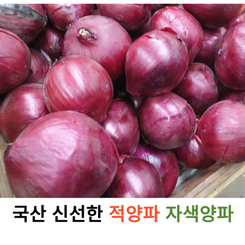 국내산 최상급 적양파 1kg 2kg 4kg 8kg 가정용 업소용햇 자색양파 신선한 빨간양파 샐러드 카레 볶음 매콤달콤 적양파 제철채소 야채, 1개