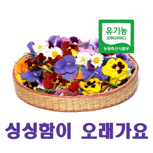 식용카네이션 TOP01