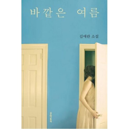 바깥은 여름, 김애란, 문학동네