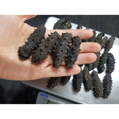 국산 남해바다 자숙해삼(사이즈 소 중), 국산자숙250g/중/15미내외, 1개