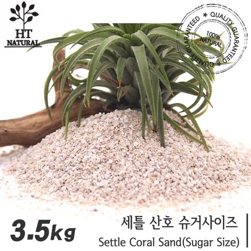 산호사 - 세틀 산호사 슈가 3.5kg 1포 /수족관 어항 수조 해수어 시클리드 바닥재 모래 니모 시클리트 관상어 열대어, 1개