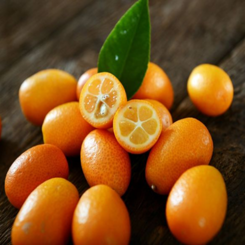 제주도 낑깡 금귤 상콤 한입정과, 1개, 1kg