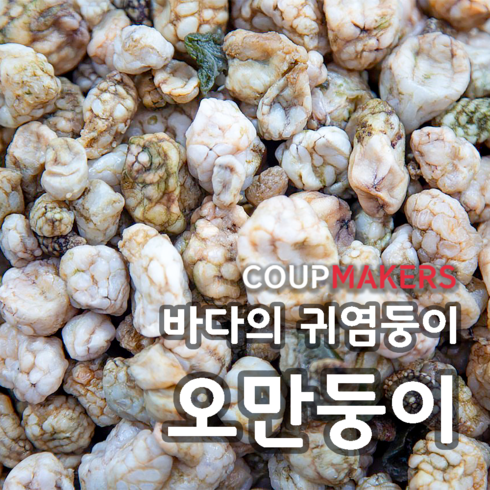 오만둥이회 - [코업메이커스] 바다의 귀염둥이 오만둥이 오만디 500G/1KG, 1개, 500g