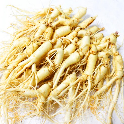 후금이네 가정용 햇 수삼 세척인삼, 700g 27-35뿌리, 1개