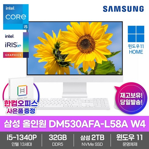 삼성전자 일체형PC 올인원 DM530AFA-L58A W4 32GB램/SSD2TB/13세대i5/Win11/한컴오피스증정 고성능 업무용 데스크탑, 32GB