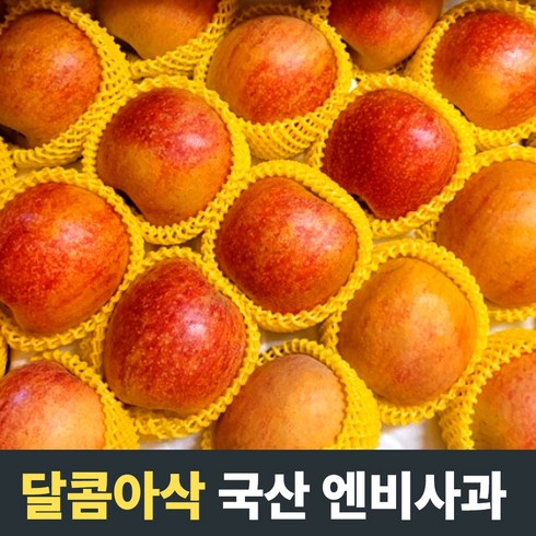 [농장직송] 직접 수확한 달콤아삭 엔비사과 국산사과 5kg 엔비사과5kg 엔비사과 아이간식 사과 엔비사과10kg envy사과 앤비사과3kg 엔비사과3kg 엔비 와일드엔비사과, 1개, 2.5kg(소과 10-13개)