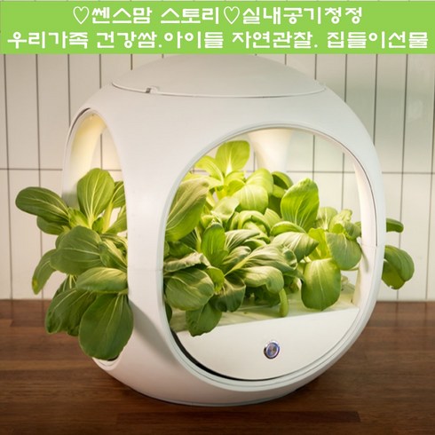 닥터플랜츠 식물재배기 집에서키워요 실내 수경재배 유기농채소 DR-PLANTS001, 1개