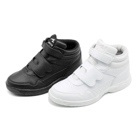 챔피언 아티스 재활화 하이반도