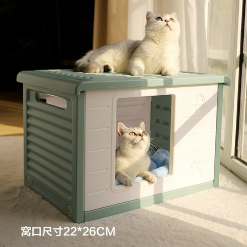 길고양이겨울집 숨숨집 길냥이 길고양이, A