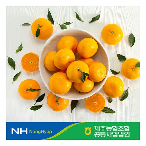 292880 귤로장생 제주농협 제주 햇 천혜향 2kgx2박스 총 4kg(2)