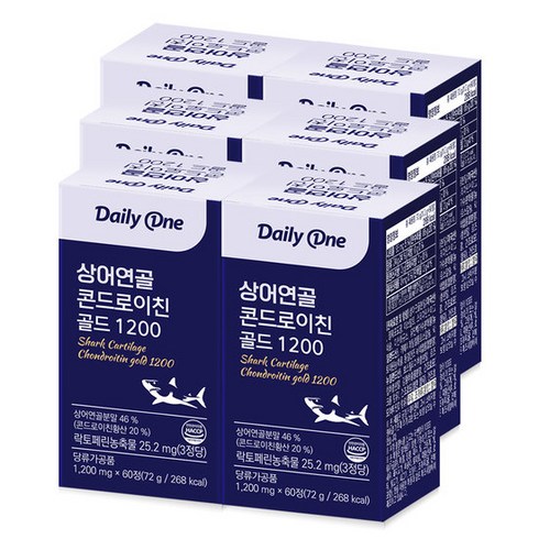 콘드로이친데일리원 - 데일리원 상어연골 콘드로이친 골드 1200 1 200mg X 60정 6통, 6개