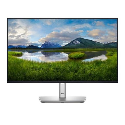 dellu3824dw - [Dell] DELL P2425H