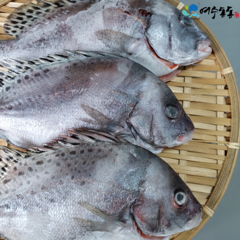 (여수동동)국내산 반건조 딱돔/어름돔 25cm/3마리 750g 내외 와사비 믹스간장 증정, 3개