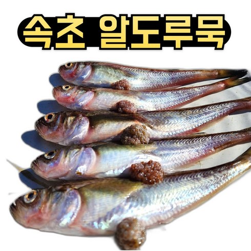 도루묵 - 속초 산지 직송 알배기 도루묵 양미리 구이 조림 찌개, 1세트