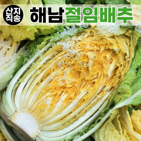 해남절임배추 - 렛츠팜 해남 절임배추 20kg 직접재배 국산천일염 지정일배송 산지직송, 11월 22일(금)출발 23일(토)도착