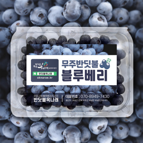 2024년 수확 국내산 생 블루베리 1kg  - 국산 무주 반딧불 생 블루베리 생과 1kg 특대 노지재배 산지직송, 1개, 3kg(특대)