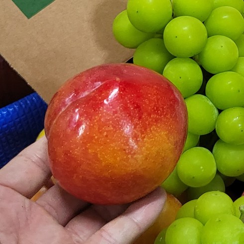 자두 - 맛있는 햇 자두 로얄과, 1박스, 2KG 왕특