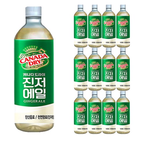 진저에일 - 캐나다드라이 진저엘 450ml, 12개