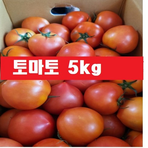 토마토 5kg /크기랜덤, 1개, 토마토(5kg)
