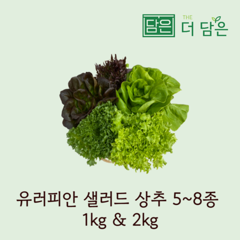 친환경 유럽 샐러드 상추 5~8종 1kg 2kg 로메인 버터헤드 크리스탈 바타비아 멀티리프 레드버터헤드 레드멀티리프 레드오크리프 수확 출고 스마트팜 수경재배, 혼합, 1개