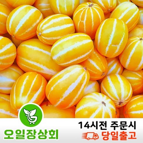 성주참외10kg - ( 오일장 상회 ) 당도선별 성주참외 가정용 참외 크기(랜덤) 1kg 2kg 5kg 10kg내외 상세내용확인, 1개, (랜덤)10kg내외