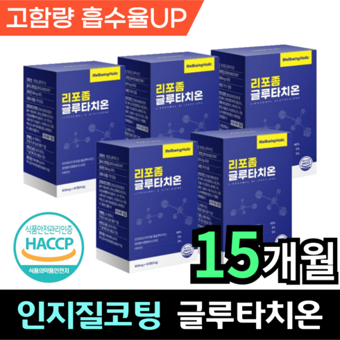 리포좀글루타치온600mg - 웰빙홀릭 리포좀 글루타치온 인지질코팅 글루타치온 리포조말 600mg 비타민c 콜라겐 리포즘, 5박스, 90정, 5개