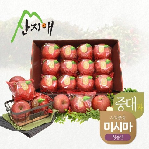 [산지애] 사과 3kg (9~13과)/중대과 청송사과 미시마 세척사과, 단품