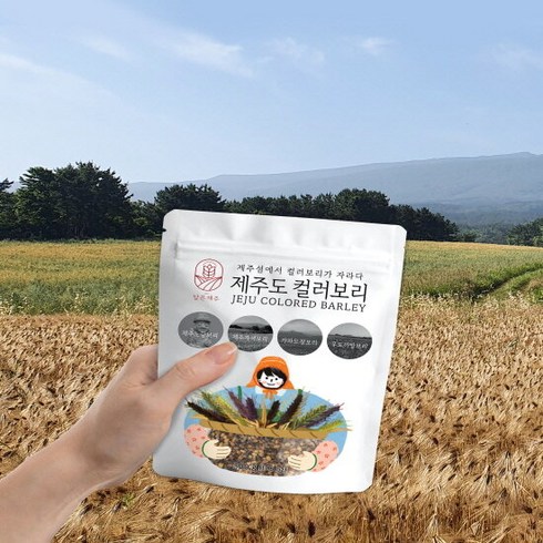 제주컬러보리 500gX8봉 - 담은제주 제주 컬러보리 500g 12팩, 12개