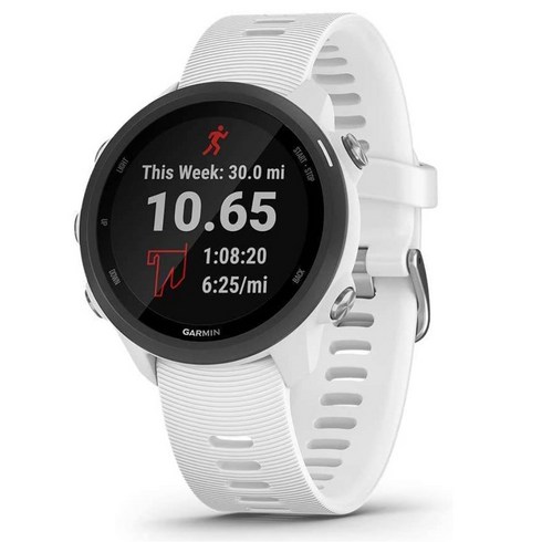 가민 포러너 245 뮤직 Garmin Forerunner 245 Music 화이트