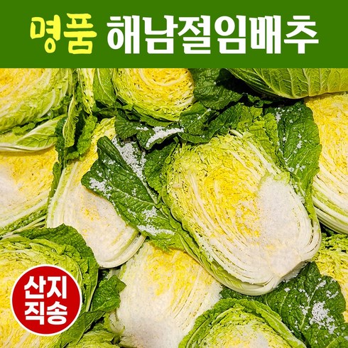 해남절임배추명품 - [도착일 지정 상품] 명품 해남 절임배추 20kg 절인배추 (필수추가사항에 희망도착일을 입력해 주세요), 1개